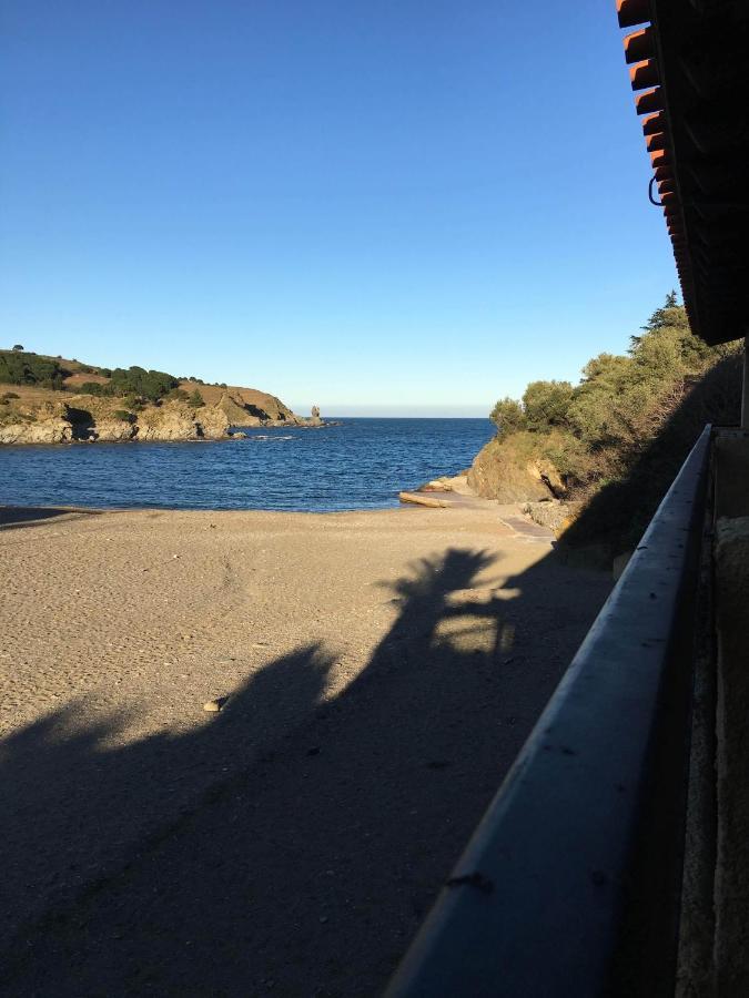 Appartamento Les Pieds Dand L'Eau Banyuls-sur-Mer Esterno foto