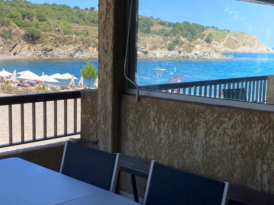 Appartamento Les Pieds Dand L'Eau Banyuls-sur-Mer Esterno foto